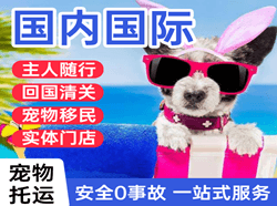 兴义万峰林航空物流国际宠物托运 【国